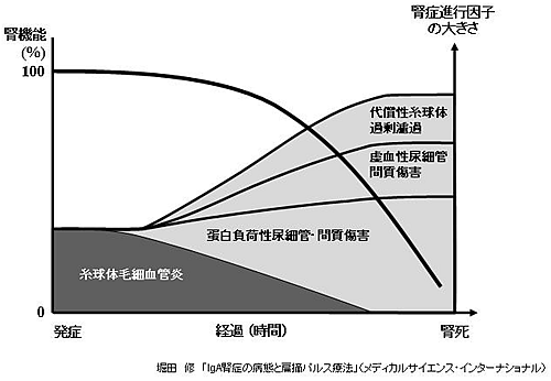 IgA腎症の腎機能の低下速度