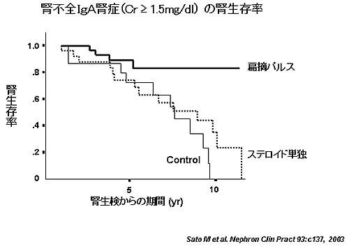 腎不全IgA腎症の腎生存率